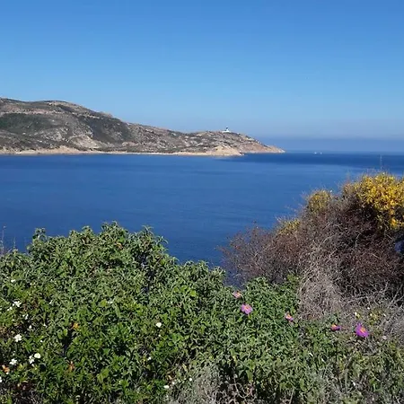 Avec Vue Exceptionnelle, A 50 M * Calvi (Corsica)