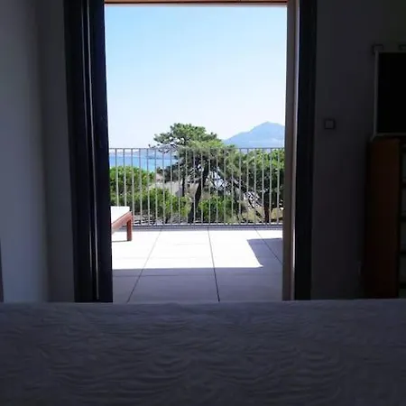 Avec Vue Exceptionnelle, A 50 M Calvi (Corsica)