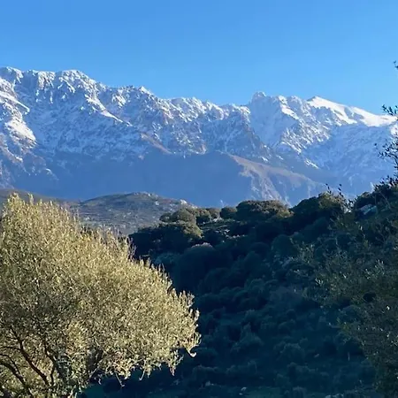 Appartement Avec Vue Exceptionnelle, A 50 M Calvi (Corsica)